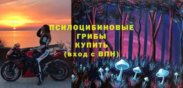 молекула духа Горняк