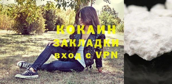 молекула духа Горняк