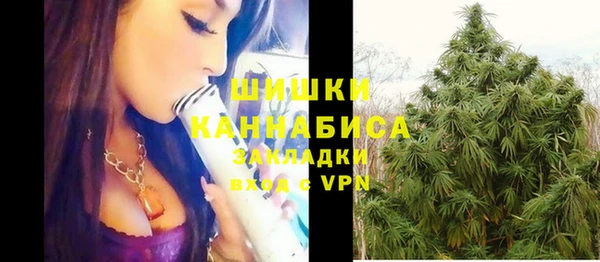 молекула духа Горняк