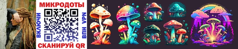 Псилоцибиновые грибы Psilocybe  где можно купить наркотик  Цоци-Юрт 